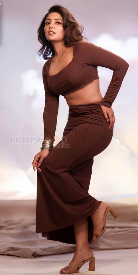 Mesmerising Eesha Rebba in a Stylish Brown Crop Top and Skirt Pictures 04
