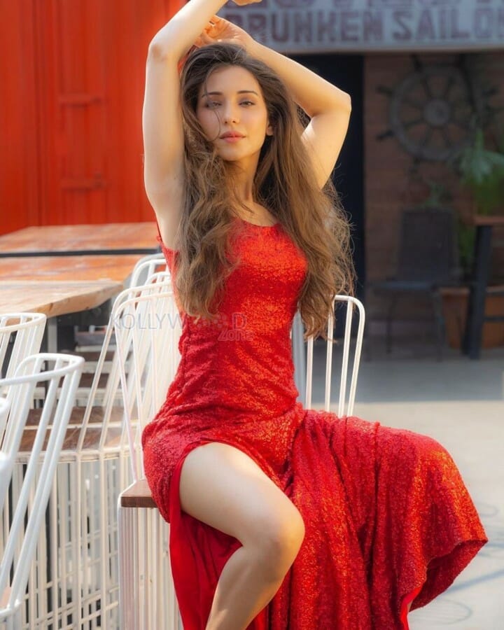 Naagin Actress Heli Daruwala Pictures