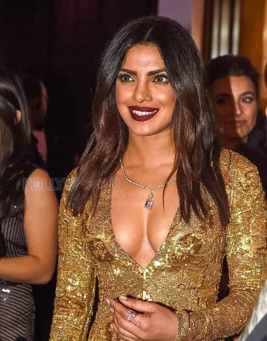 Priyanka Chopra New Hot Photos