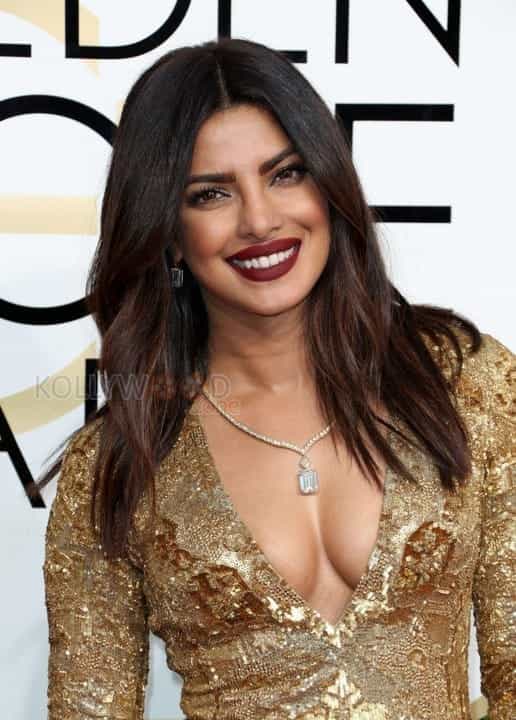 Priyanka Chopra New Hot Photos