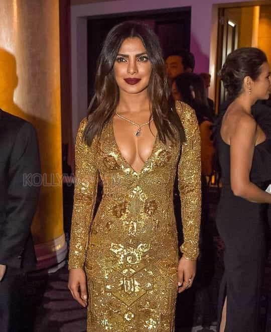 Priyanka Chopra New Hot Photos