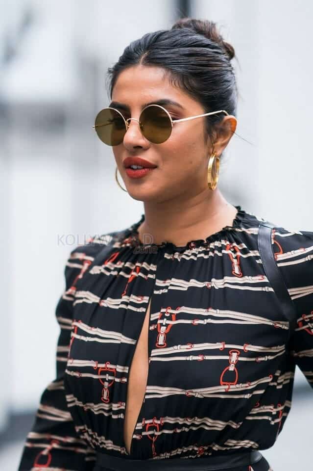 Priyanka Chopra Stylish Pic 01