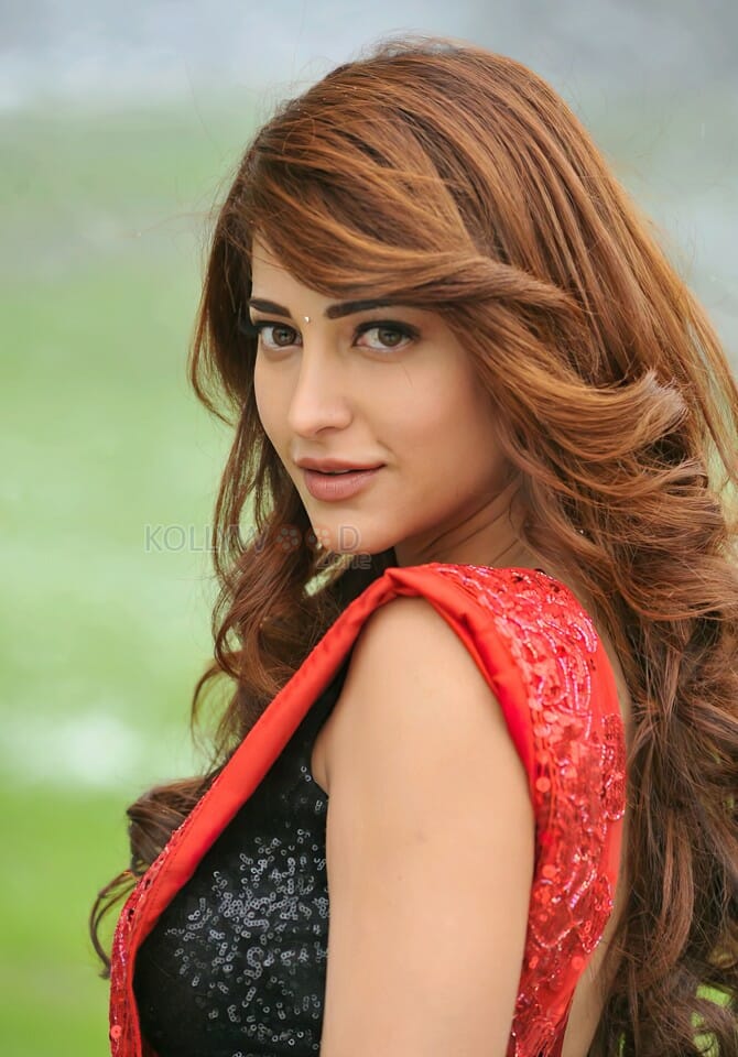 Race Gurram Actress Shruti Haasan Photo