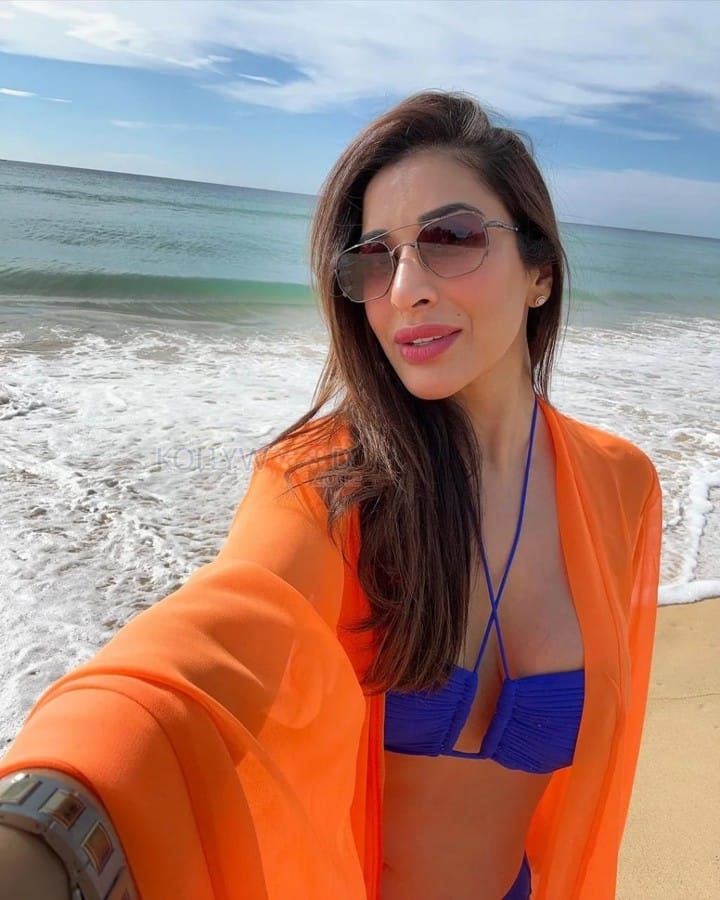 Rocking Beauty Sophie Choudry in a Blue Bikini Photos 01