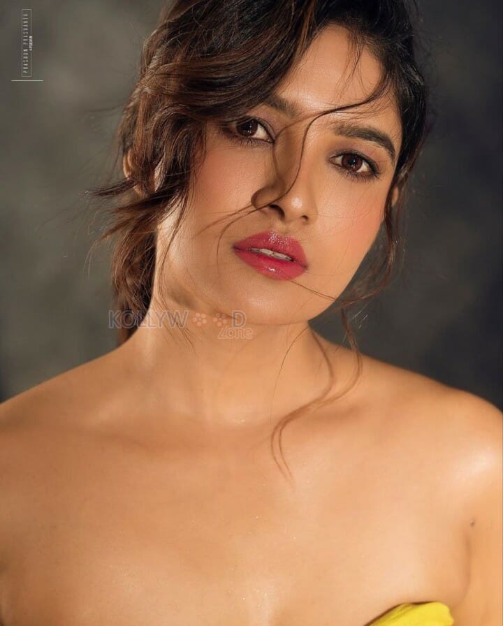 Sensual Vani Bhojan Pictures 02
