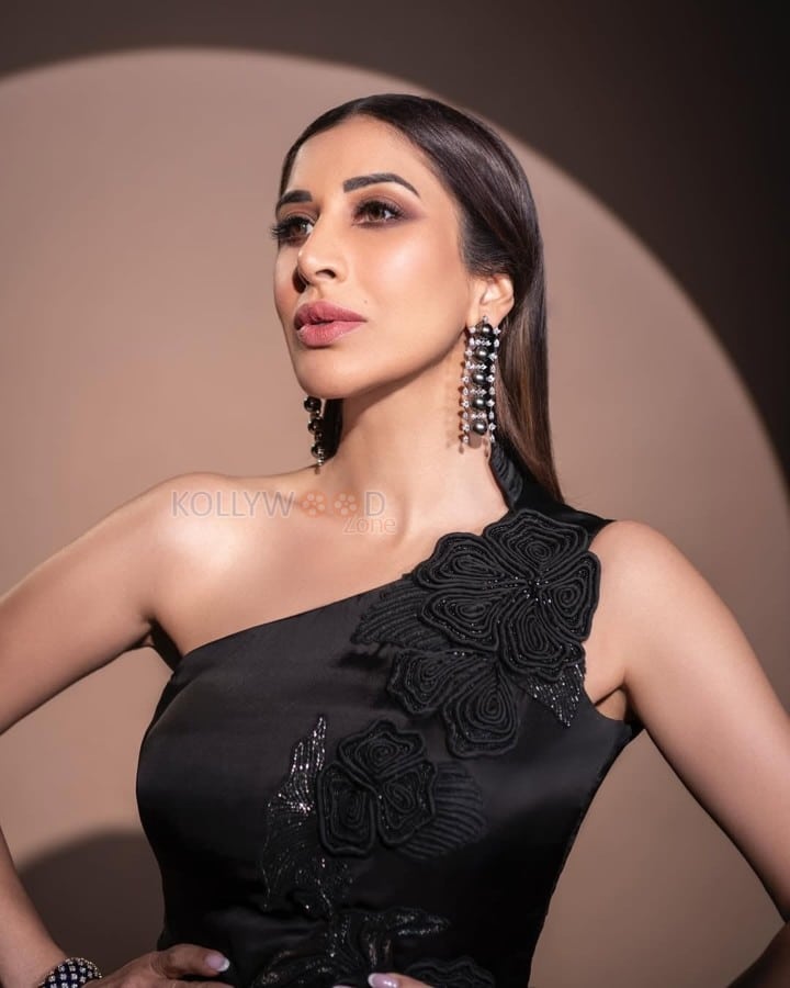 Sensuous Sophie Choudry in an One Shoulder Draped Gown Photos 04