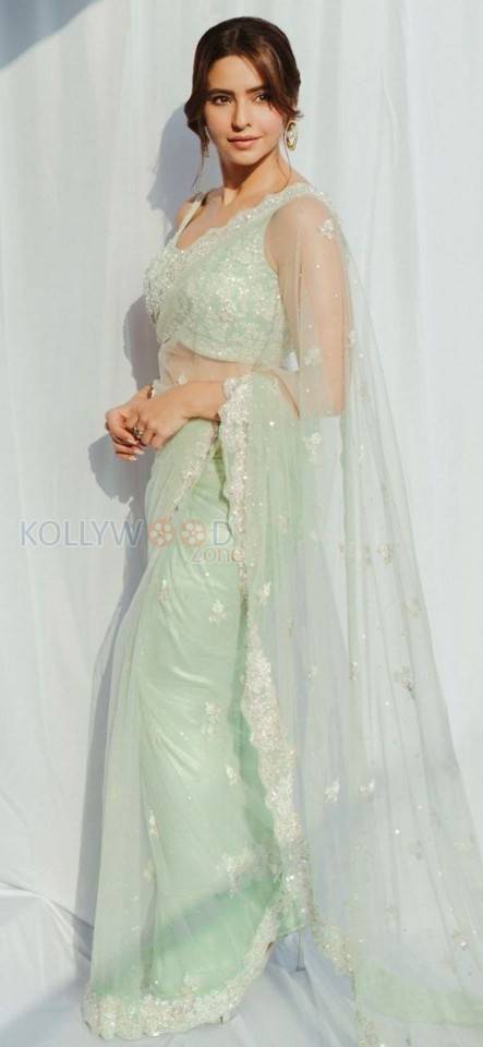 Sexy Aamna Sharif in a Mint Green See Through Saree with a Sleeveless Blouse Pictures 02