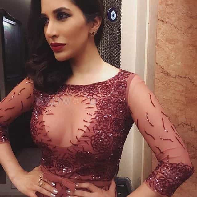 Sexy Indian Actress Sophie Choudry Photos