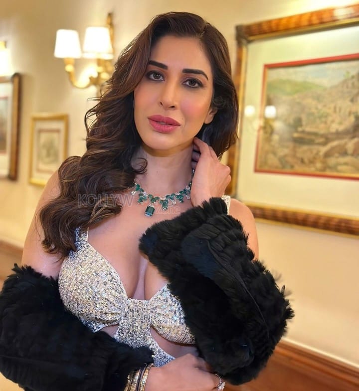 Stunning Sophie Choudry Cleavage in a Silver Top Photos 01