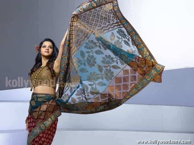 Tamil Actress Bhavana Sexy Photos