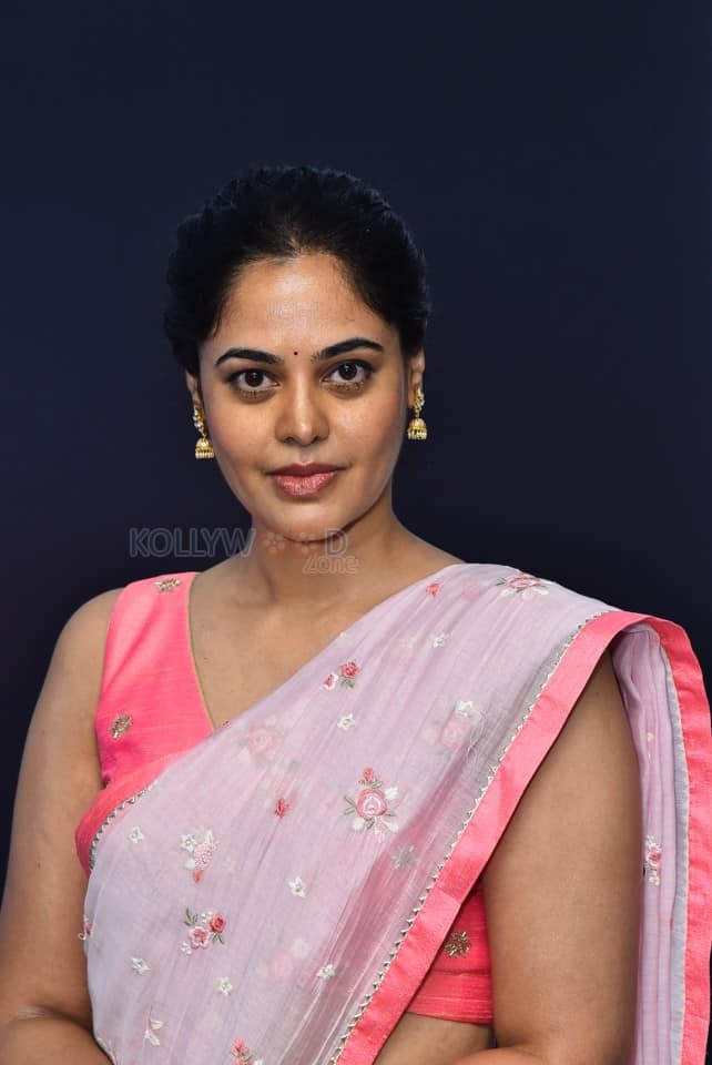 Tollywood Actress Bindu Madhavi at Dhandoraa Teaser Launch Photos 08