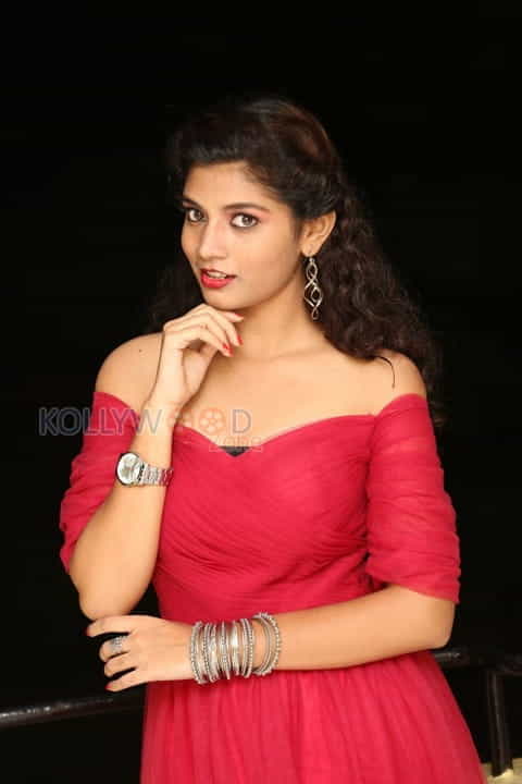 Tollywood Actress Bindu Photos