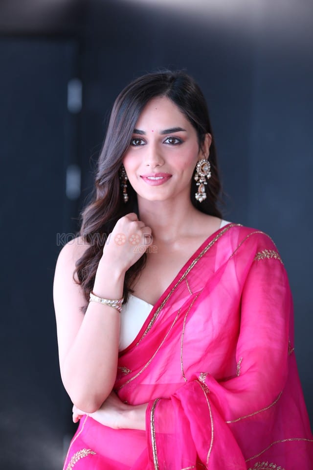 Actress Manushi Chhillar at Operation Valentine Trailer Launch Photos 53