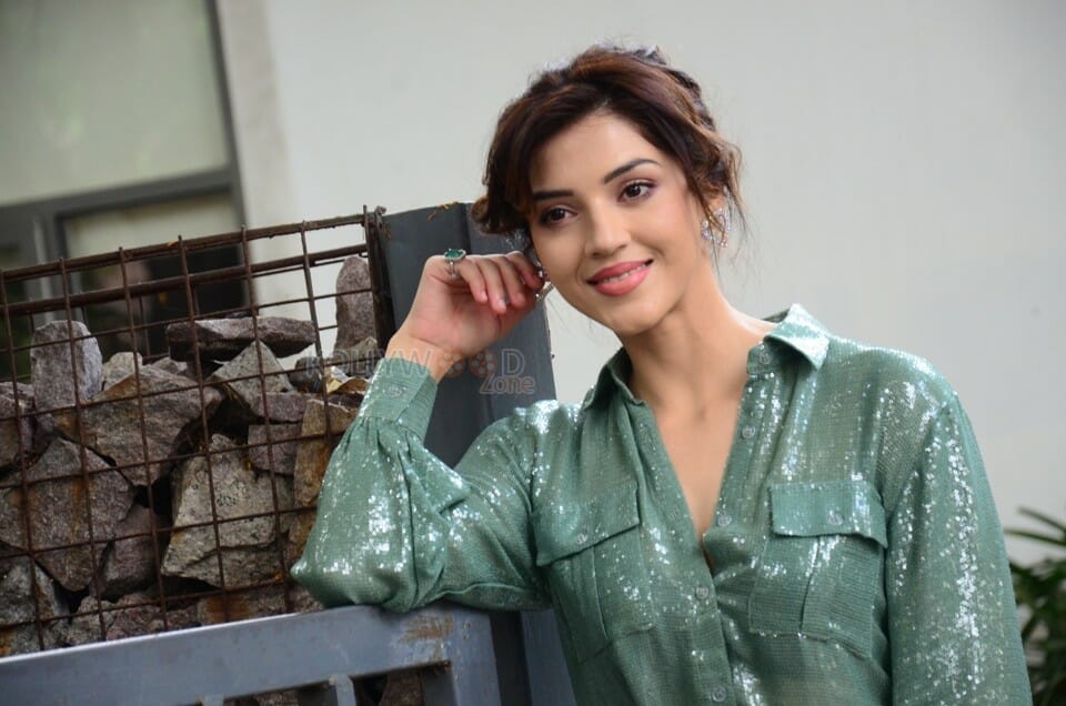 Actress Mehreen Kaur Pirzada at Manchi Rojulochaie Movie Interview Photos 24