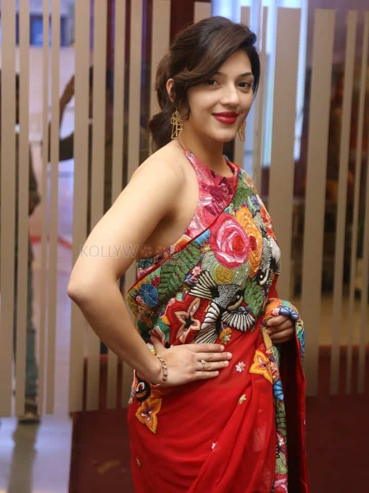 Actress Mehreen Pirzada at Spark Movie Trailer Launch Pictures 10