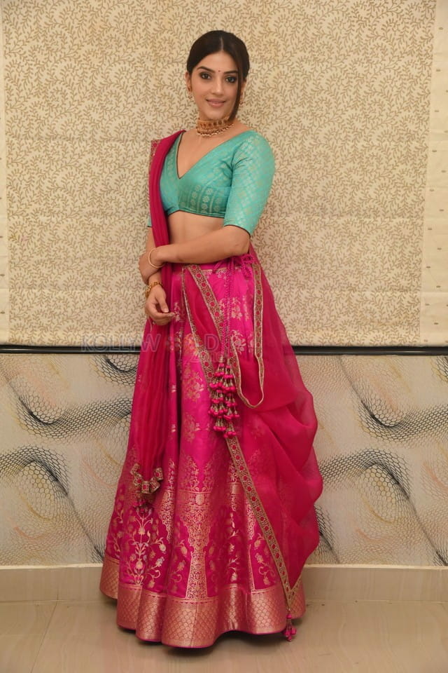 Actress Mehrene Kaur Pirzada At Aswathama Movie Audio Launch Stills