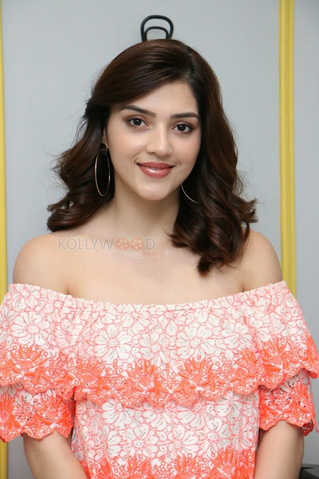 Actress Mehrene Kaur Pirzada At Aswathama Movie Interview Pictures