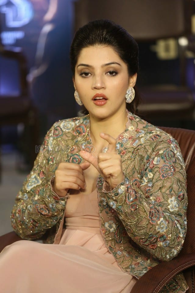 Actress Mehrene Kaur Pirzada At Chanakya Movie Interview Pictures