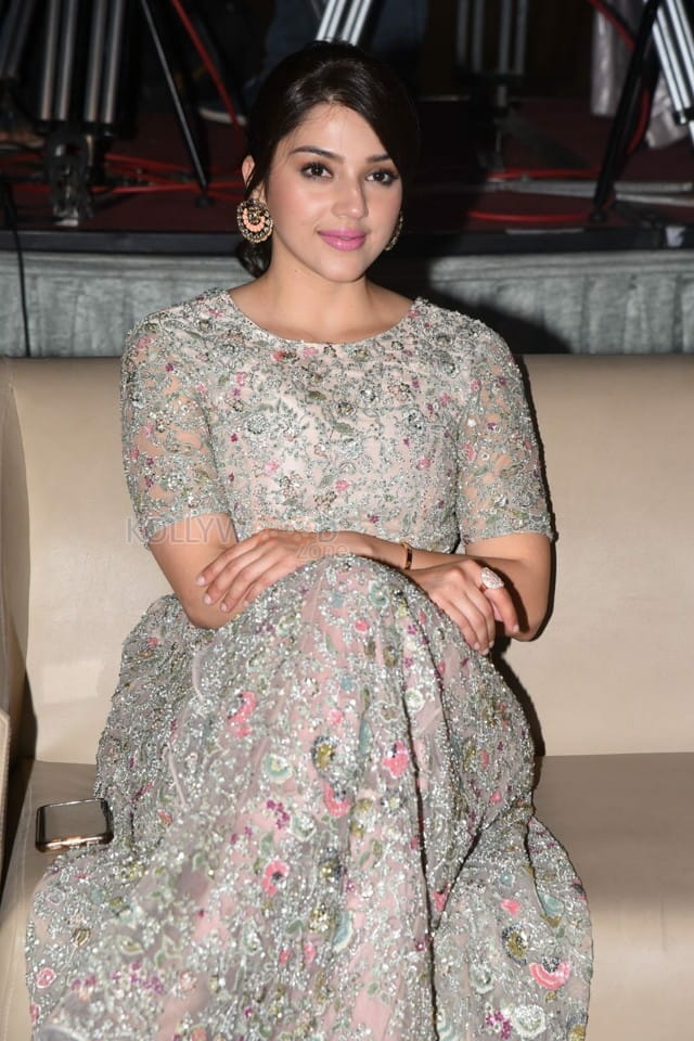Actress Mehrene Kaur Pirzada At Chanakya Trailer Launch Photos