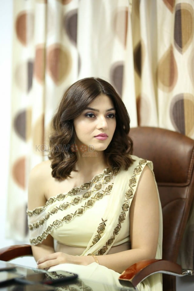 Actress Mehrene Kaur Pirzada At Entha Manchivaadavura Movie Interview Photos