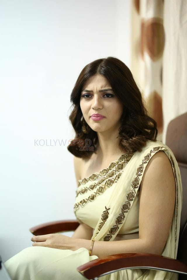Actress Mehrene Kaur Pirzada At Entha Manchivaadavura Movie Interview Photos