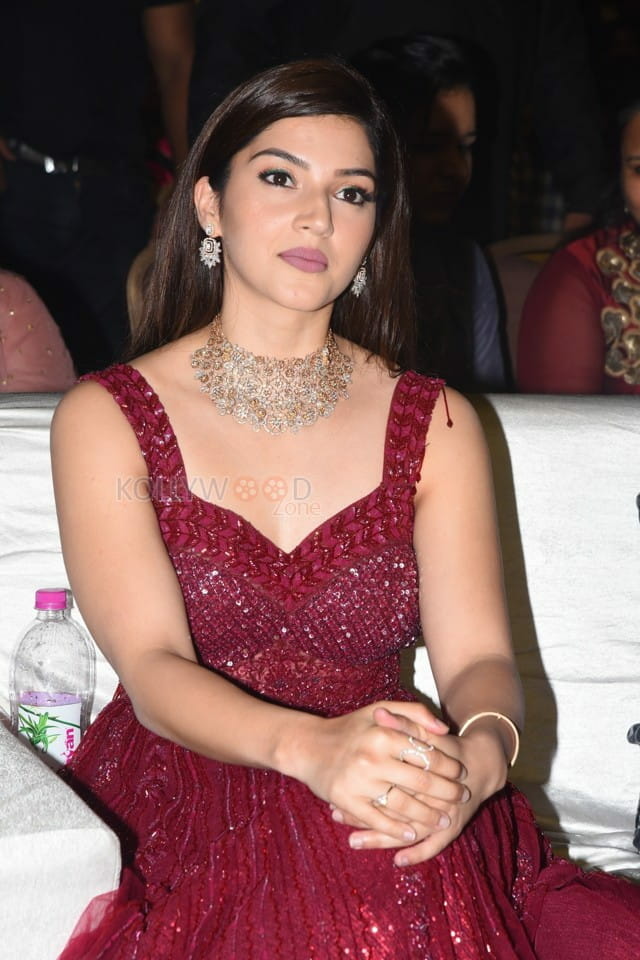 Actress Mehrene Kaur Pirzada At Entha Manchivadavura Pre release Event Photos