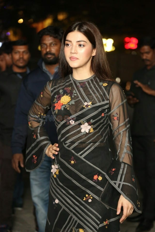 Actress Mehrene Kaur Pirzada At F Success Meet Photos