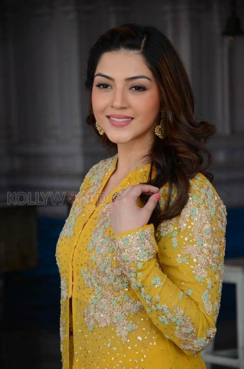 Actress Mehrene Kaur Pirzada Photos