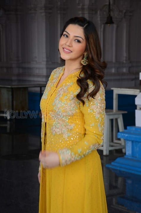 Actress Mehrene Kaur Pirzada Photos