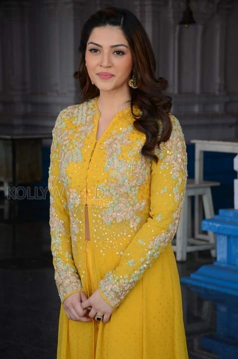 Actress Mehrene Kaur Pirzada Photos