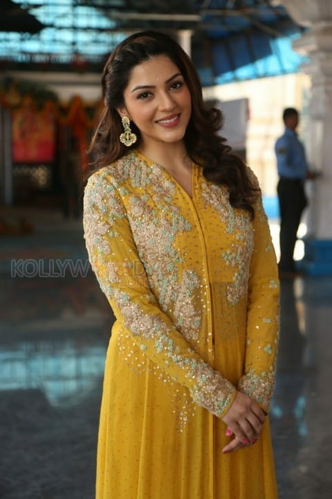 Actress Mehrene Kaur Pirzada Photos