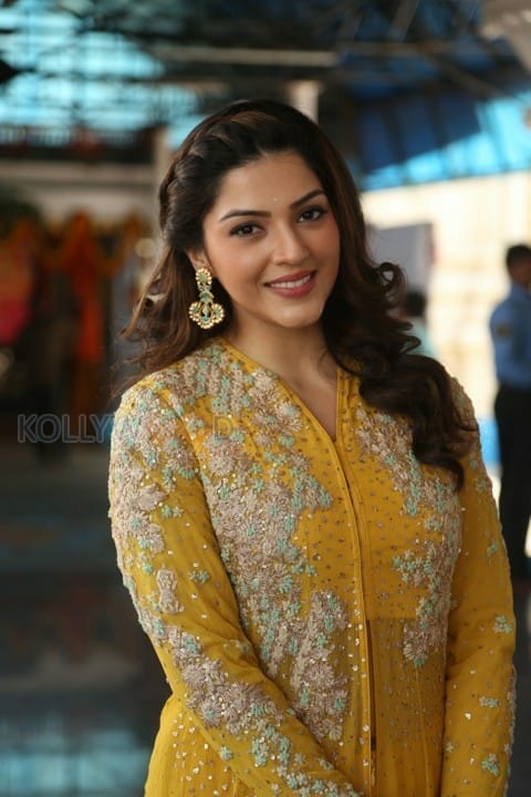 Actress Mehrene Kaur Pirzada Photos