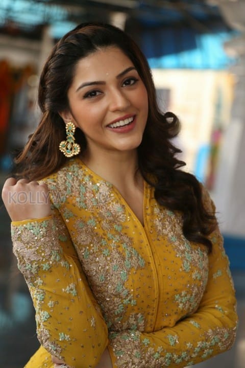 Actress Mehrene Kaur Pirzada Photos