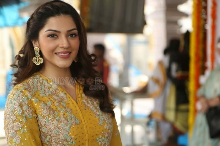 Actress Mehrene Kaur Pirzada Photos