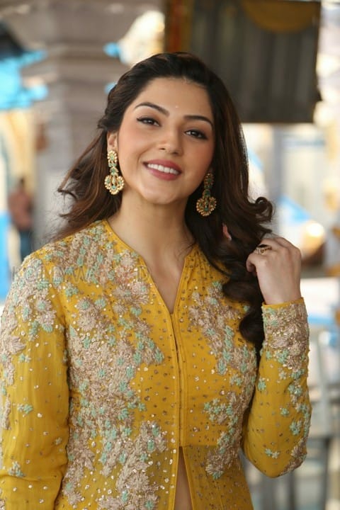 Actress Mehrene Kaur Pirzada Photos