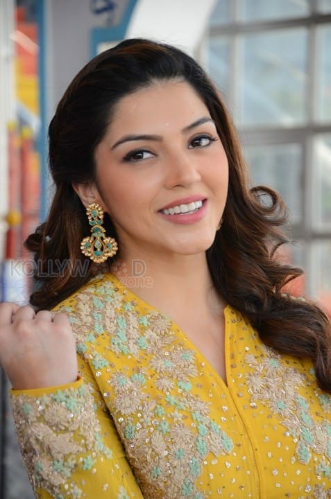 Actress Mehrene Kaur Pirzada Photos