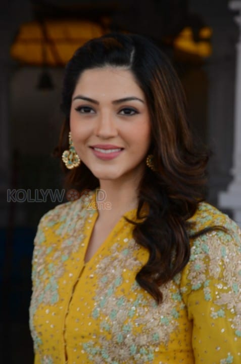 Actress Mehrene Kaur Pirzada Photos
