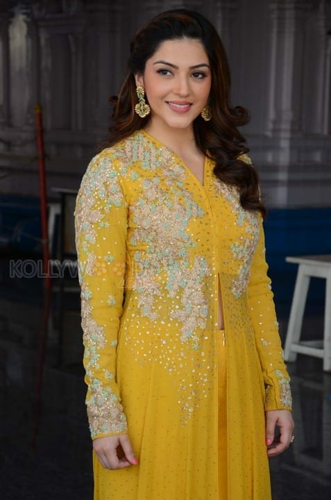 Actress Mehrene Kaur Pirzada Photos