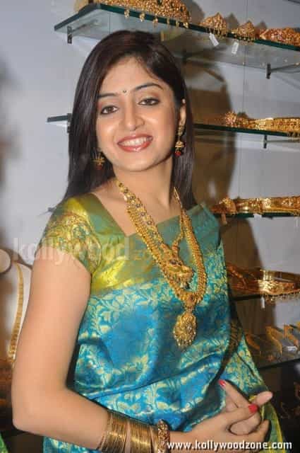 Actress Poonam Kaur Saree Photos