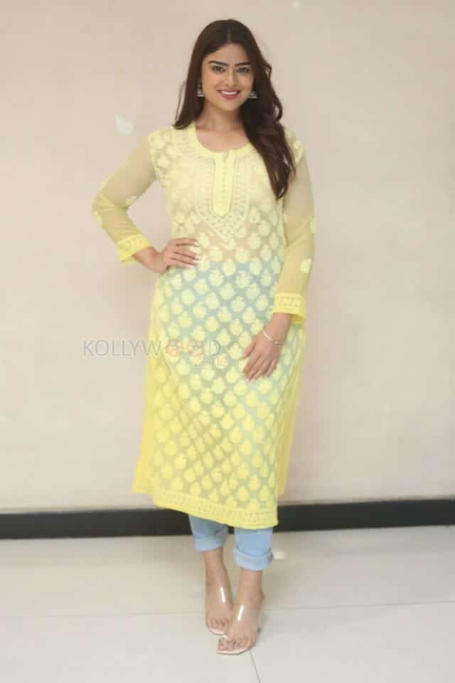 Actress Priyanka Sharma at MENTOO Pre Release Press Meet Pictures 04