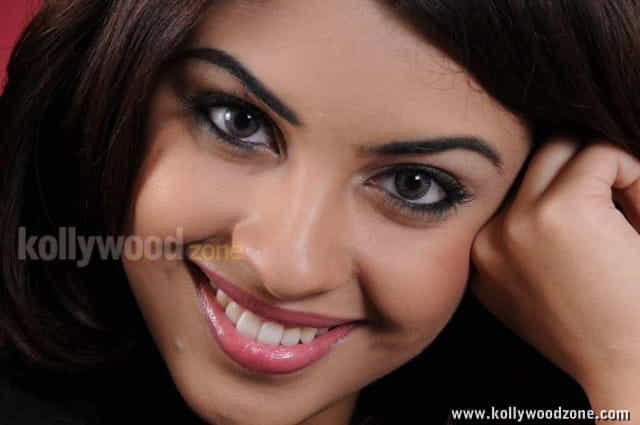 Actress Richa Gangopadhyay Hot And Sexy Pictures