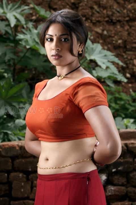 Actress Richa Gangopadhyay Hot Navel Pictures