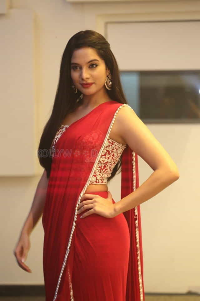 Actress Tanya Hope At Disco Raja Pre release Event Pictures