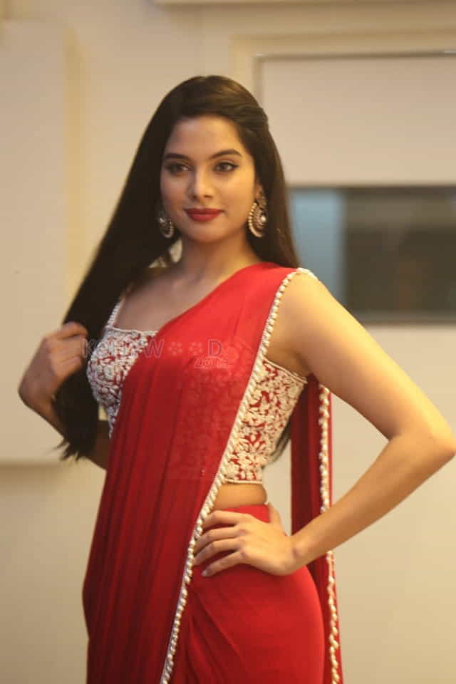 Actress Tanya Hope At Disco Raja Pre release Event Pictures