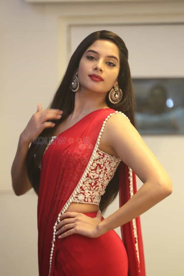 Actress Tanya Hope At Disco Raja Pre release Event Pictures