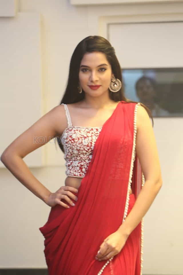 Actress Tanya Hope At Disco Raja Pre release Event Pictures