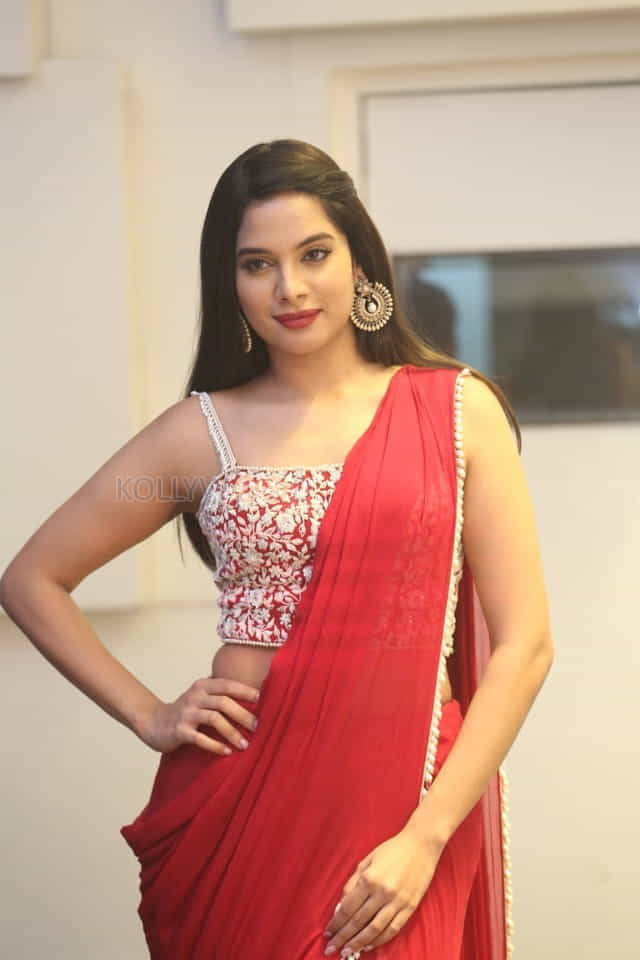 Actress Tanya Hope At Disco Raja Pre release Event Pictures