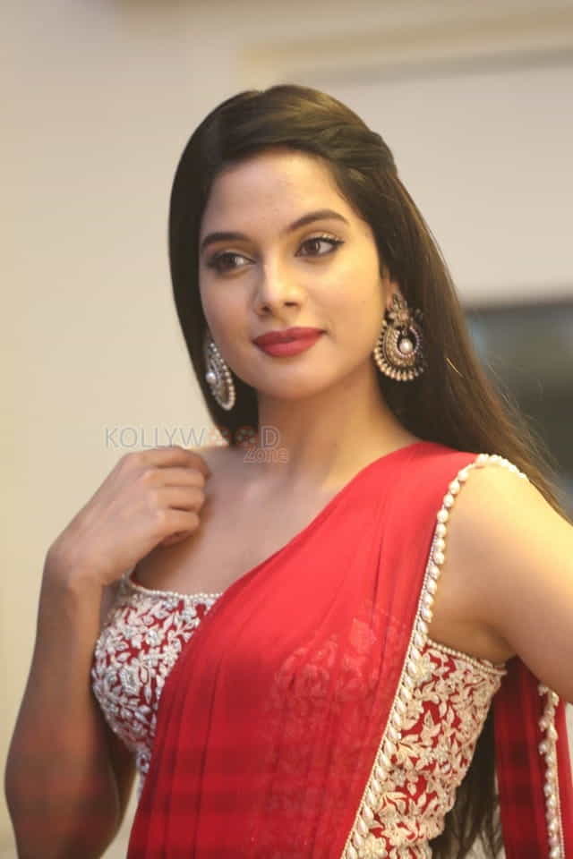 Actress Tanya Hope At Disco Raja Pre release Event Pictures