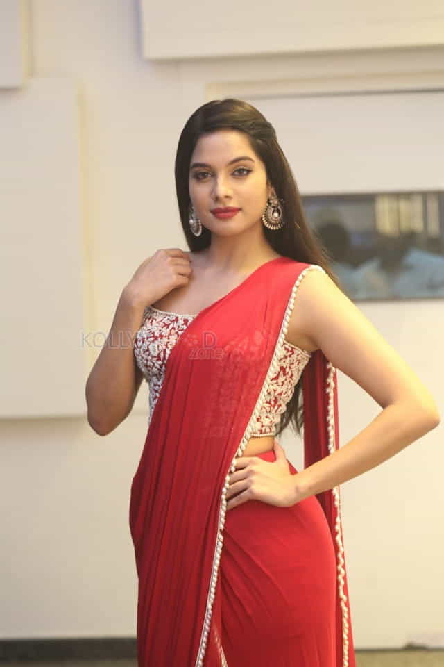 Actress Tanya Hope At Disco Raja Pre release Event Pictures