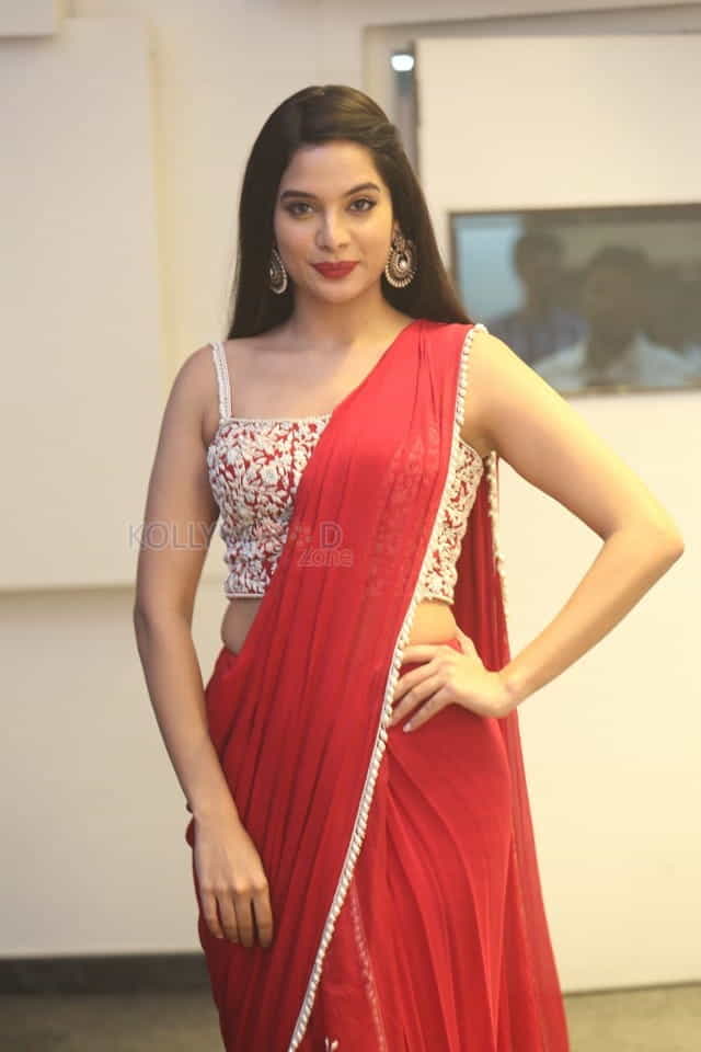 Actress Tanya Hope At Disco Raja Pre release Event Pictures